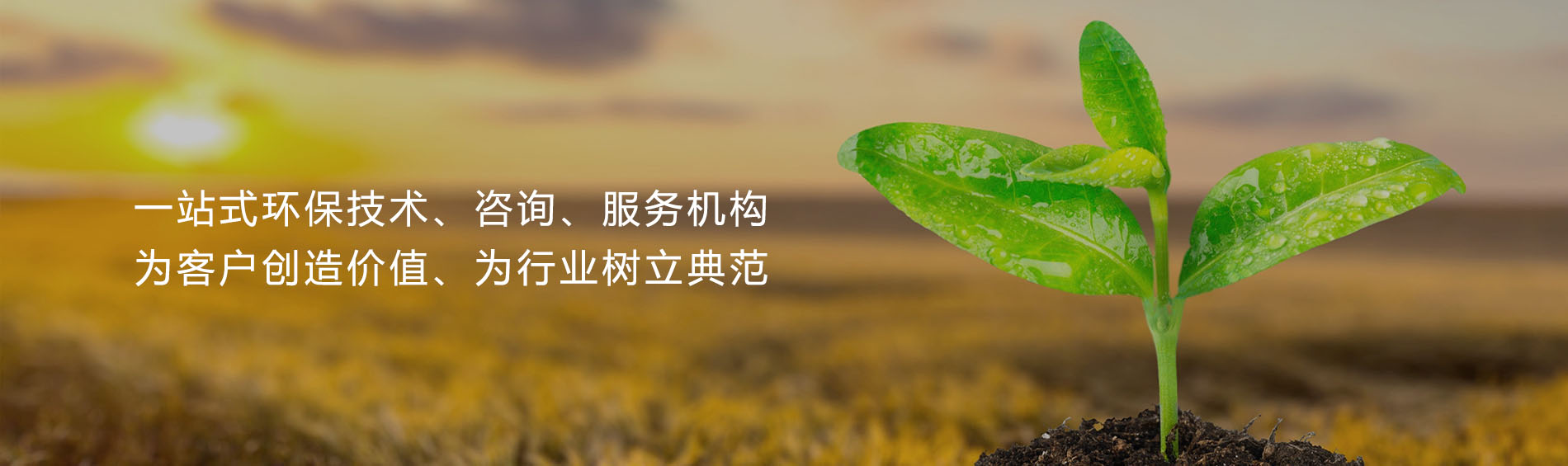 幻灯3